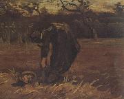 Vincent Van Gogh Peasant Woman Digging Up Potatoes (nn04) USA oil painting reproduction
